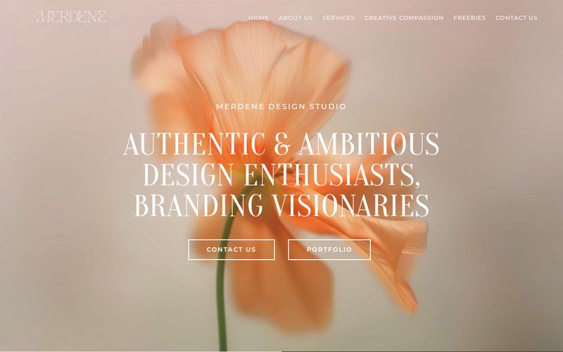Merdene Design Studio website screenshot